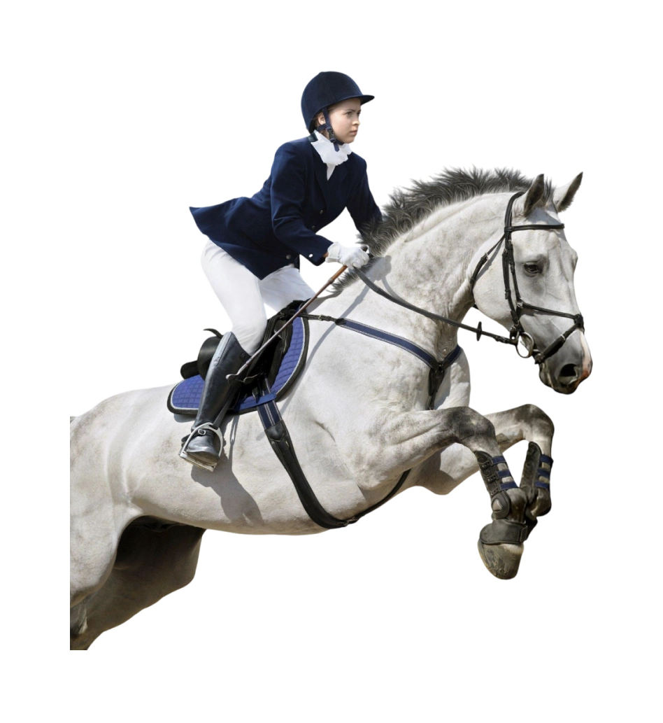 In Flux Guetre Cheval Bordeaux 20 In Flux Guetre Cheval Bordeaux 20