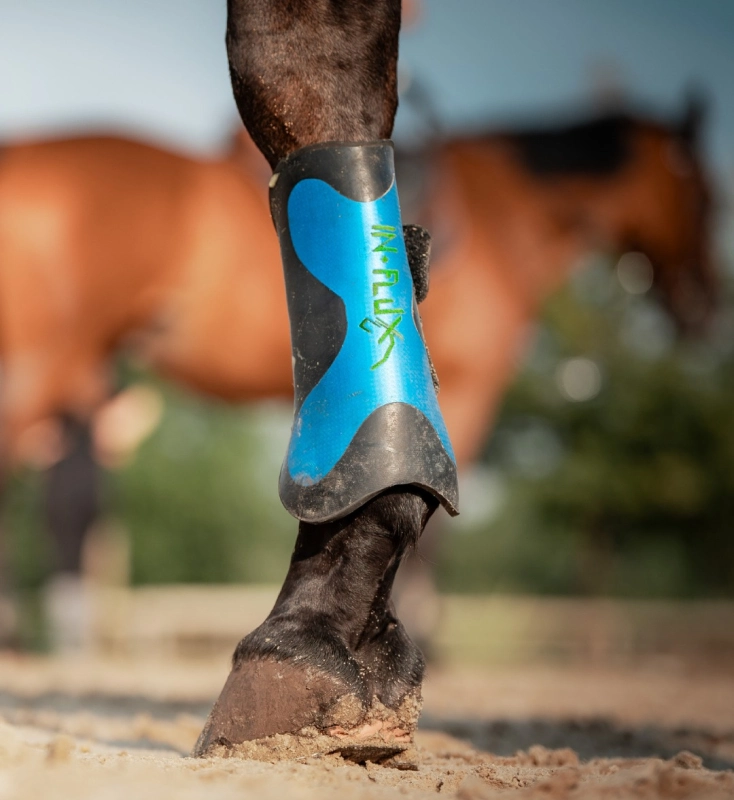 In Flux Guetre Cheval Bordeaux INFLUX 2 In Flux Guetre Cheval Bordeaux INFLUX 2