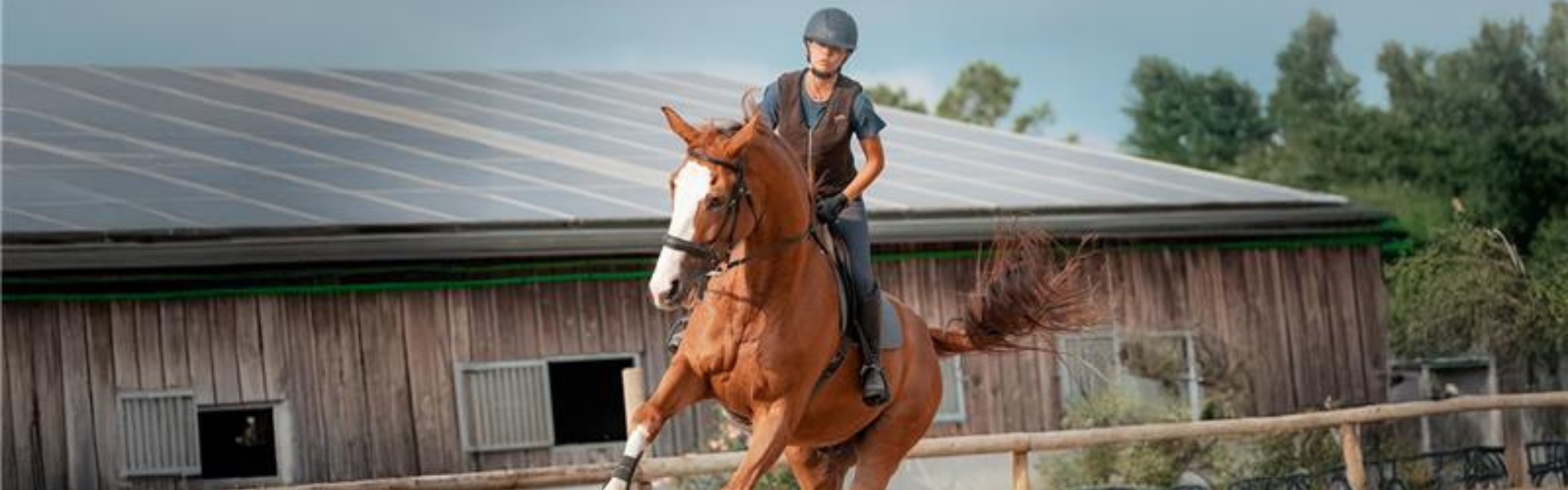 Guêtre cheval à Toulouse
